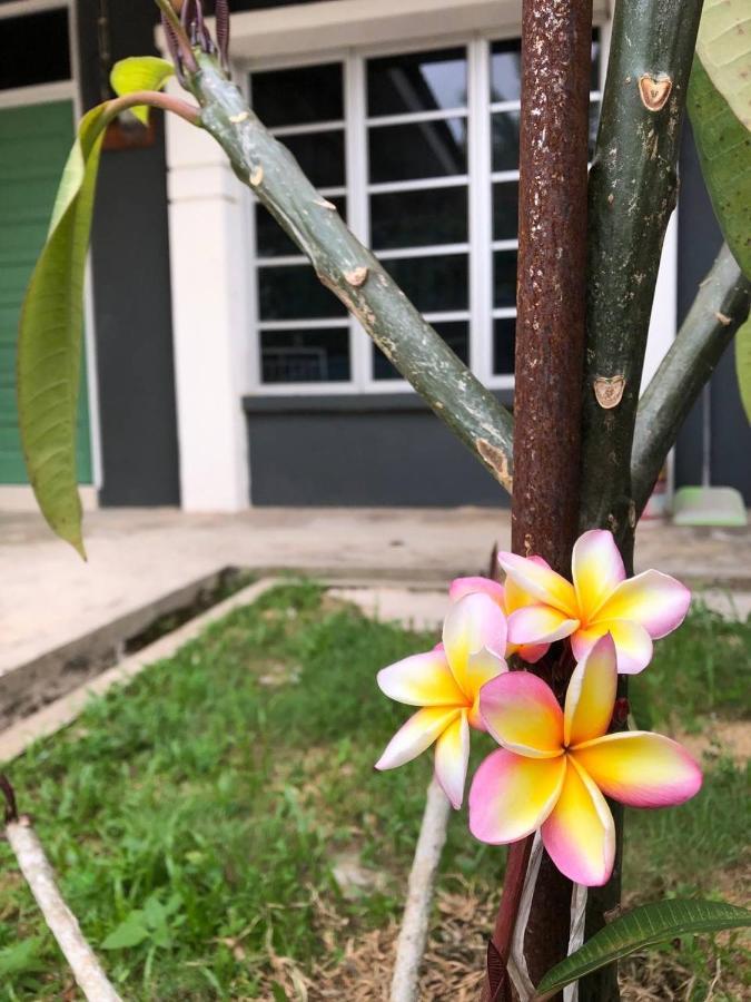 Lungo Guesthouse Kuala Terengganu Esterno foto